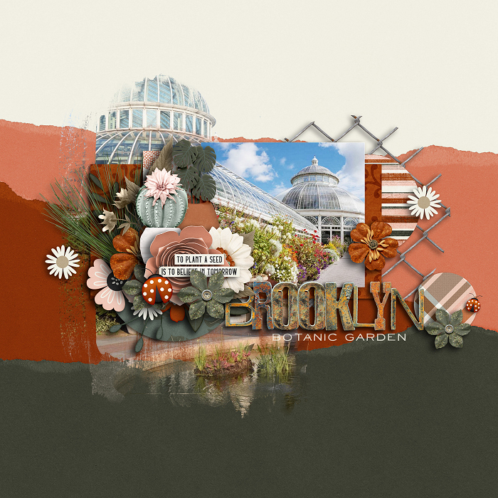 Brooklyn Botanic Garden