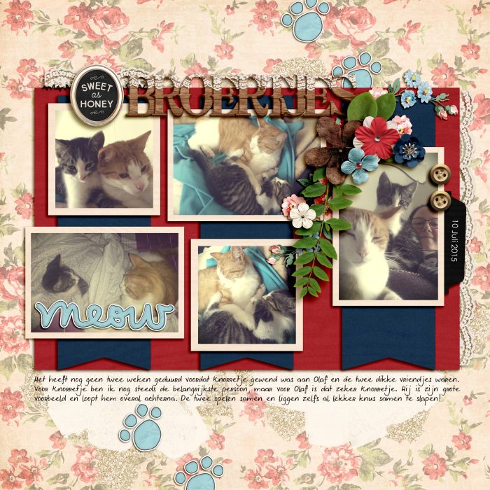 Brothers
