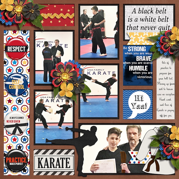 Brown belt preperation