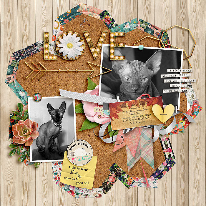 B's Corkboard