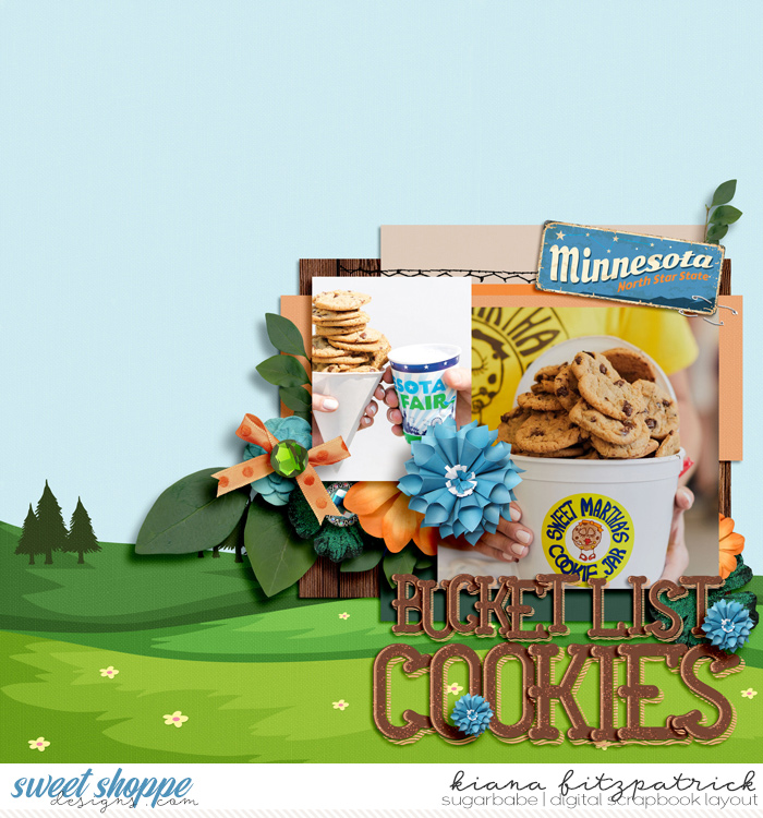 Bucket List Cookies