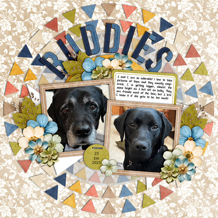 Buddies