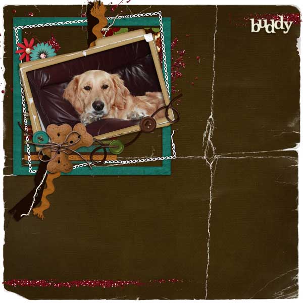 Buddy