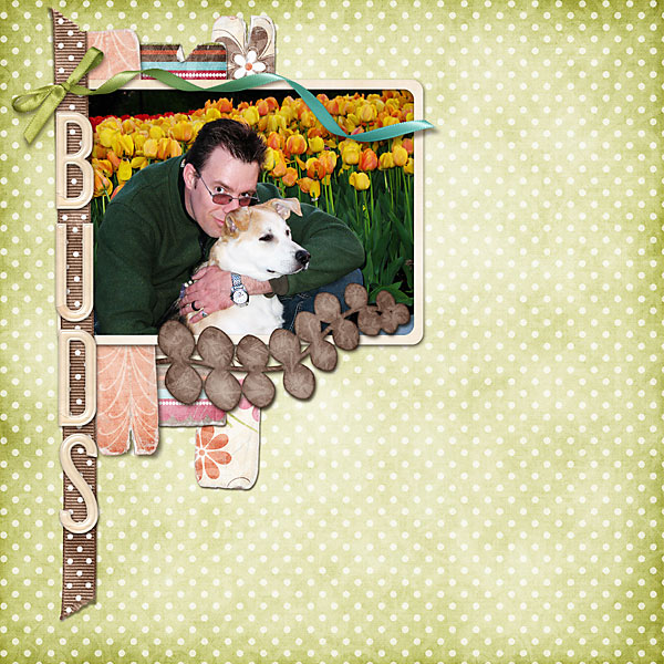Buds