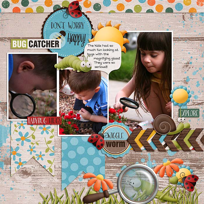 Bug Catcher