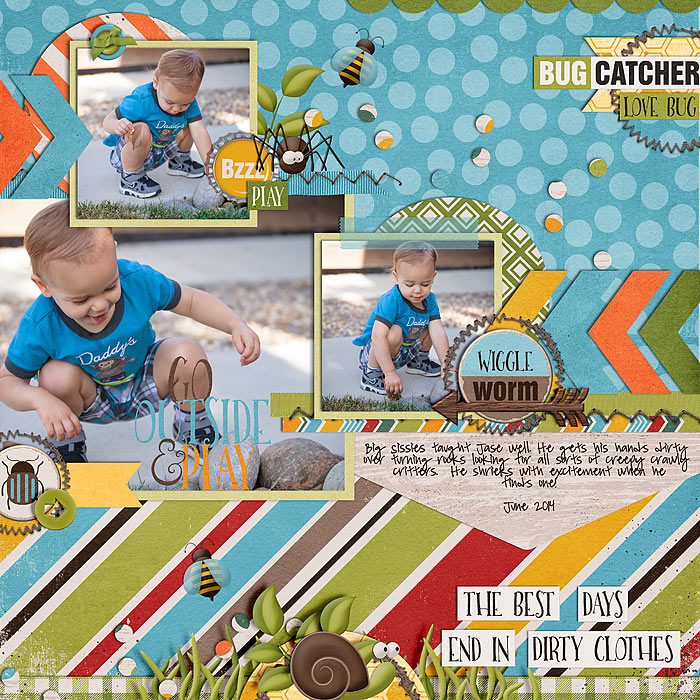 Bug Catcher