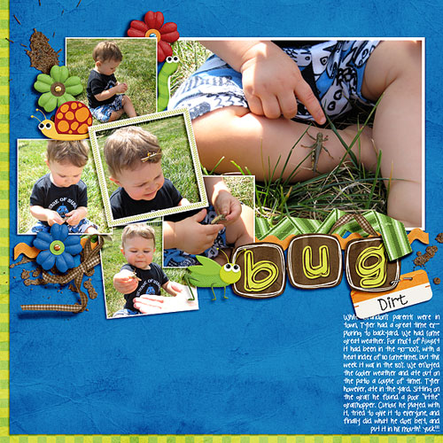 Bug Dirt