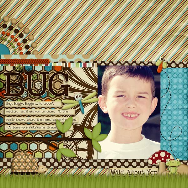 bug.