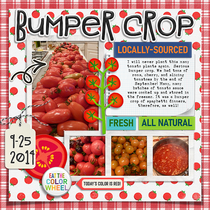 Bumper Crop of Tomatoes