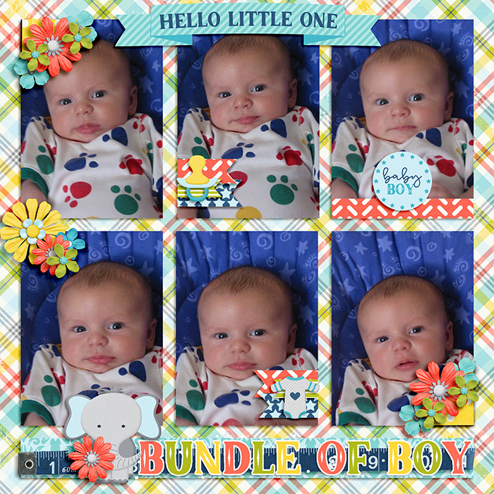 Bundle of Boy
