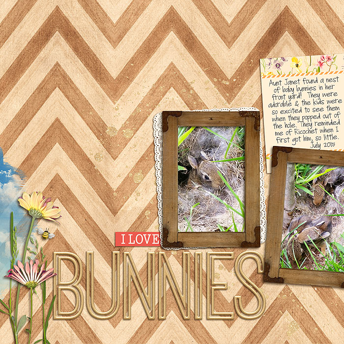 bunnies
