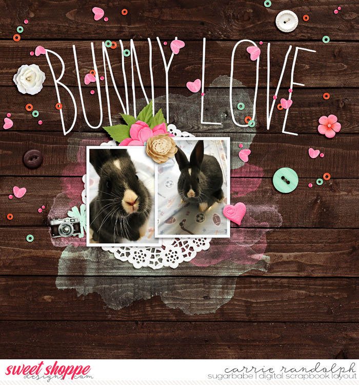 Bunny Love
