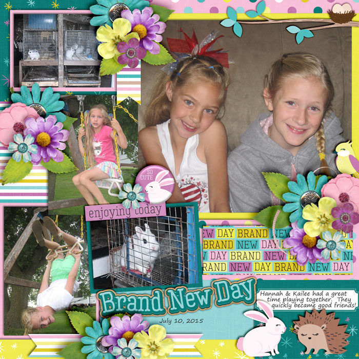 Bunny New Day