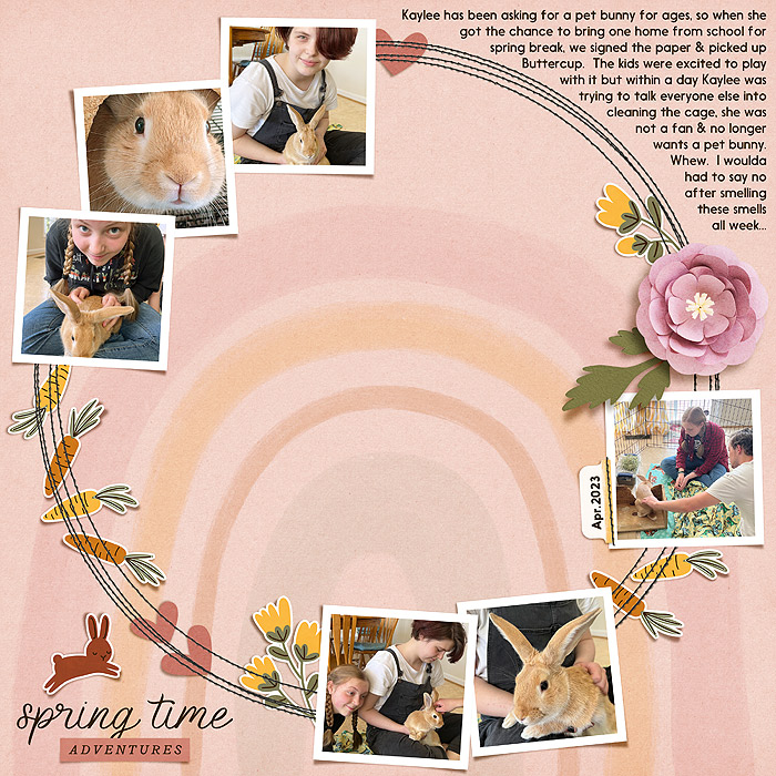 bunny time