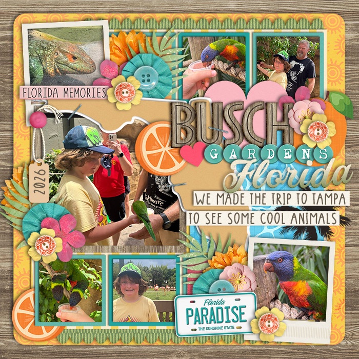 Busch Gardens