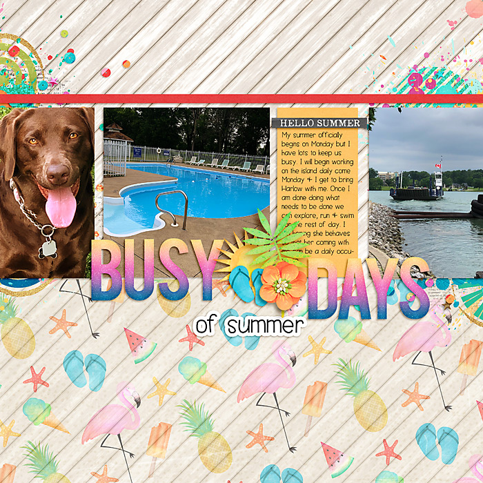 Busy Summer Days