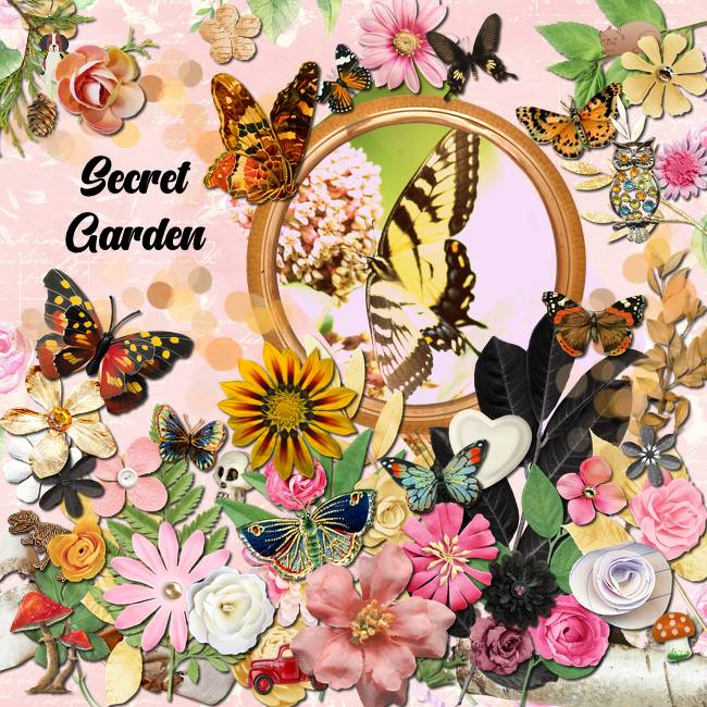 Butterflies and Flowers