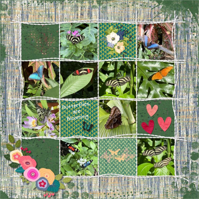 Butterflies are blooming