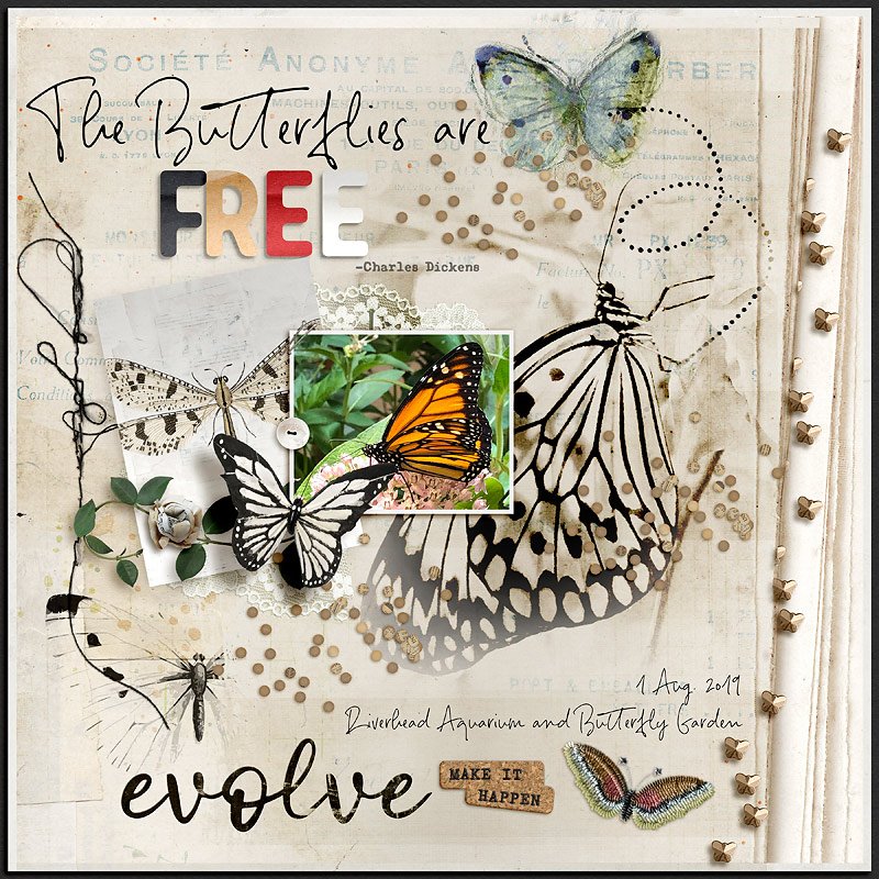 Butterflies are Free