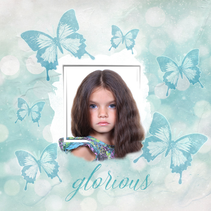 Butterflies flying free