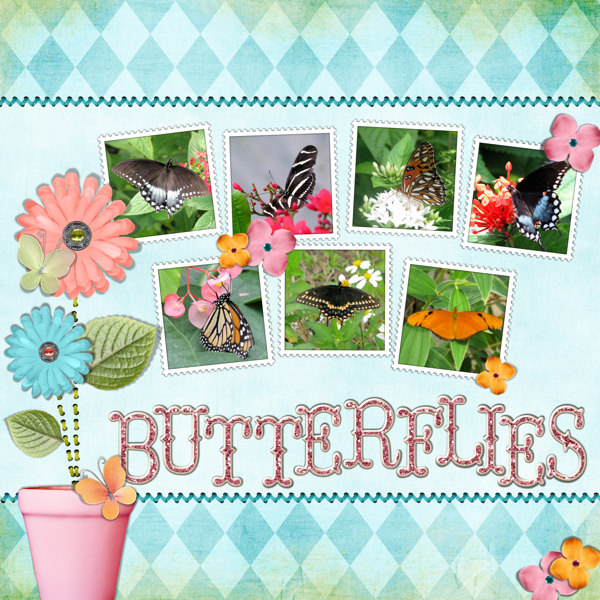 Butterflies