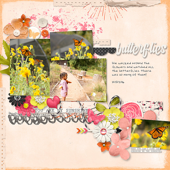 Butterflies