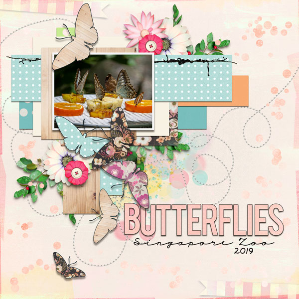 Butterflies