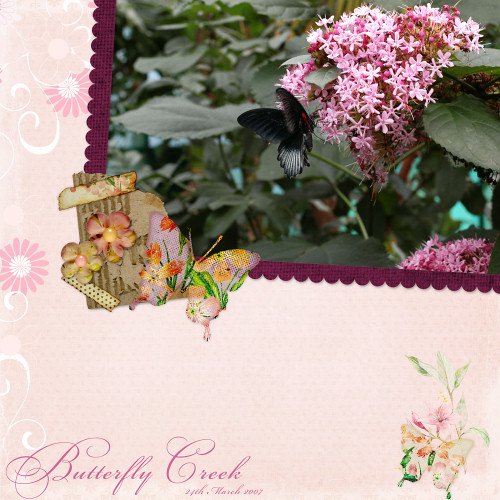 Butterfly Creek
