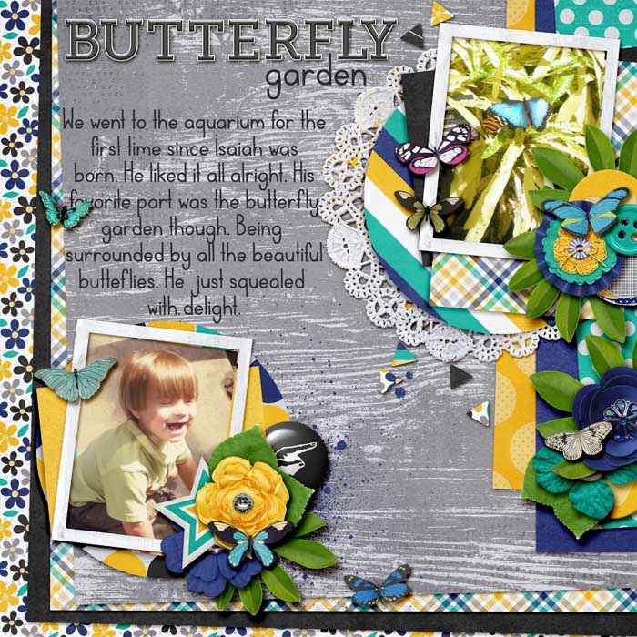 Butterfly Garden