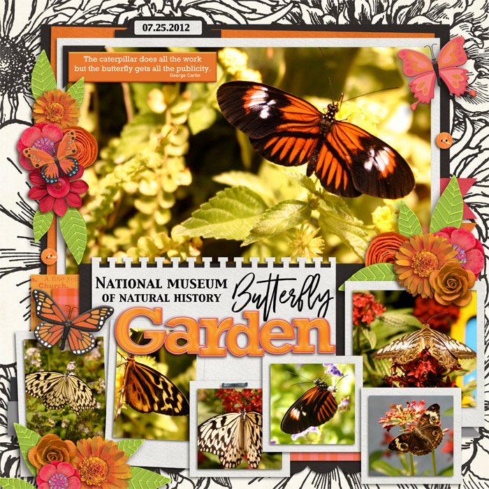 Butterfly Garden