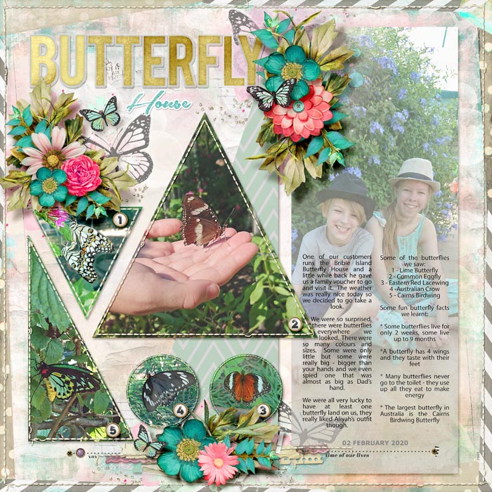 Butterfly House