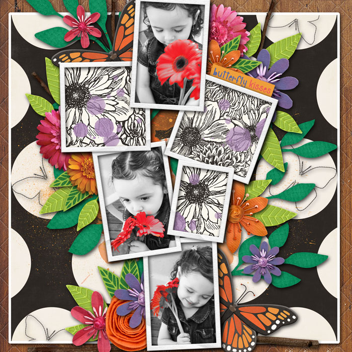 Butterfly Kisses