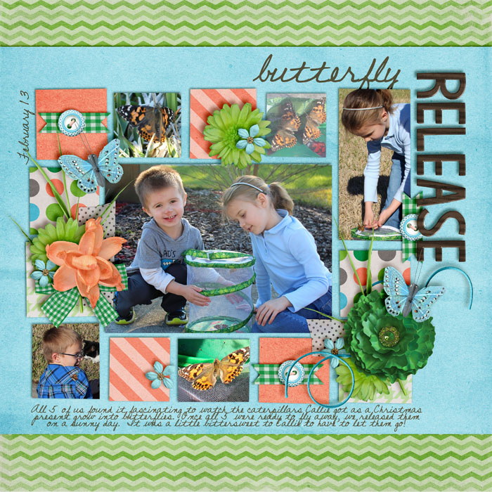 Butterfly Release