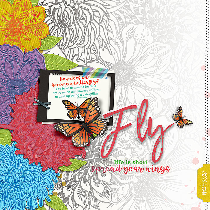 Butterfly Season