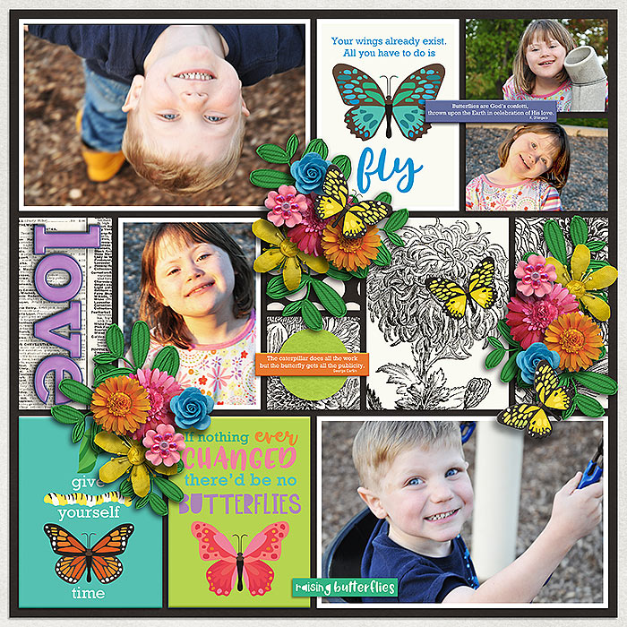 Butterfly Season