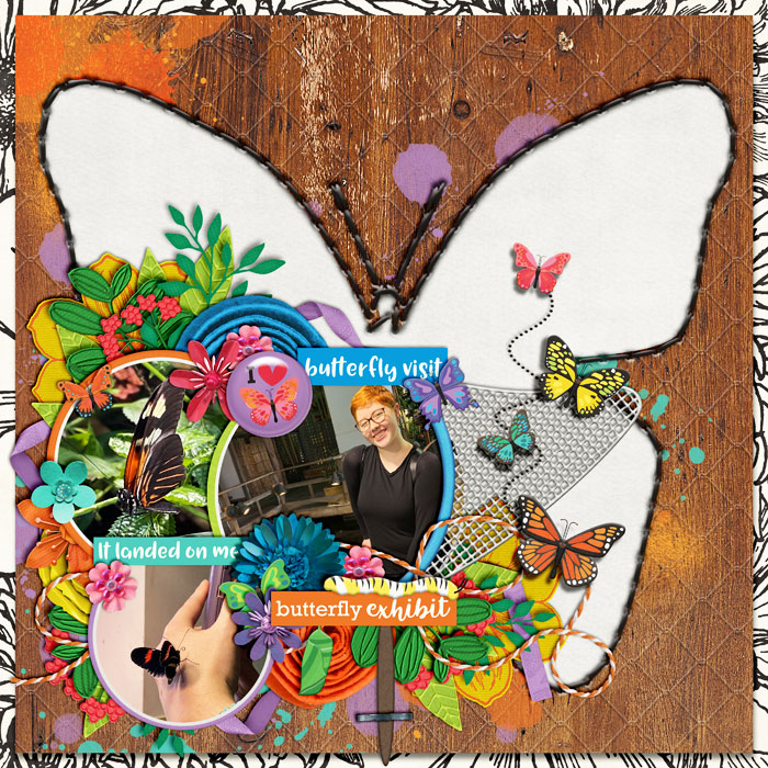 Butterfly Visit