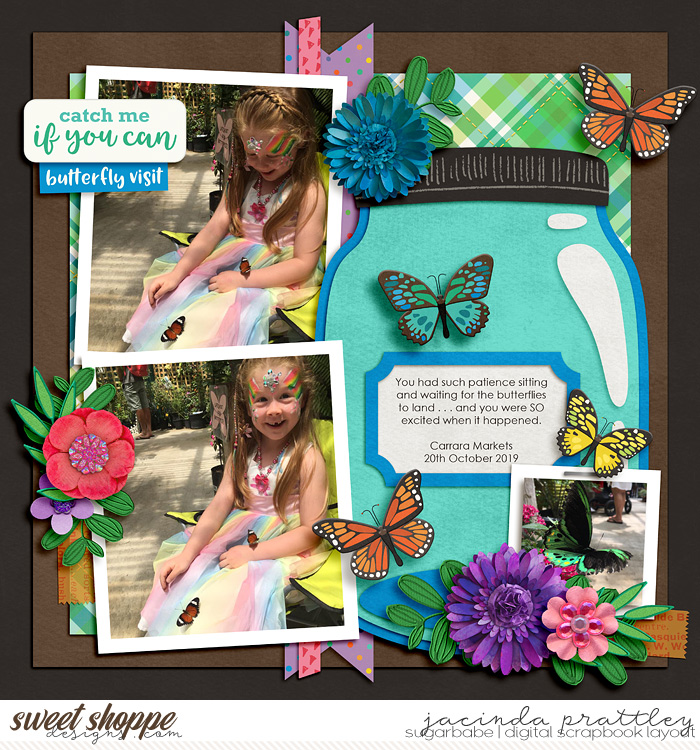 Butterfly visit