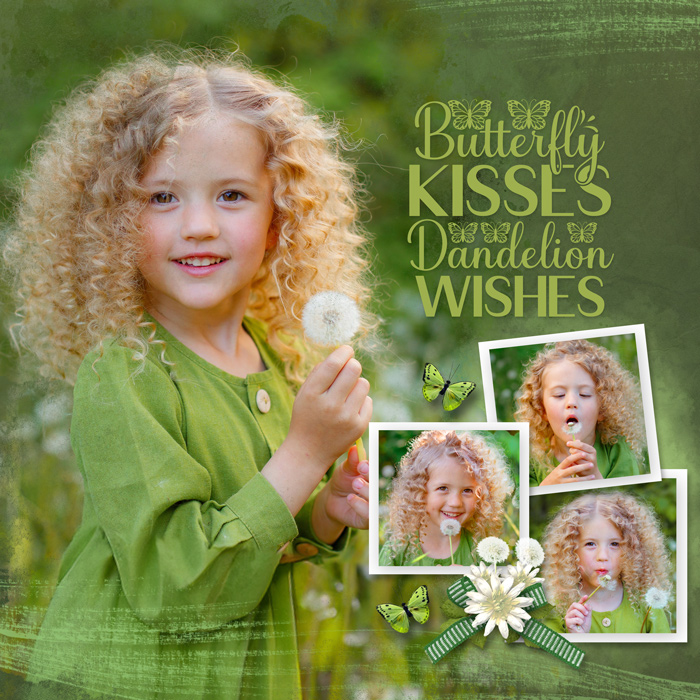 Butterfly wishes