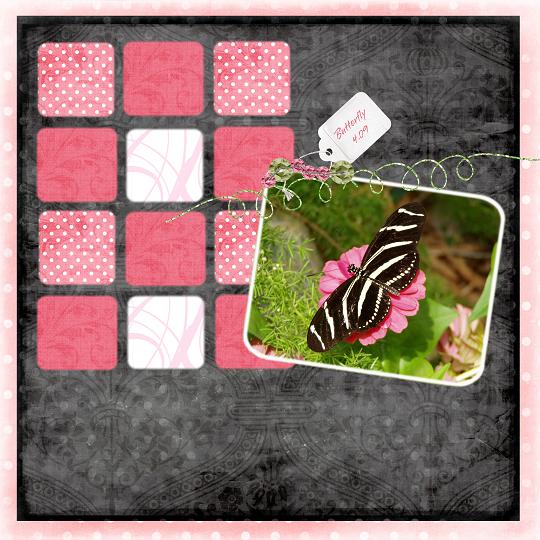 Butterfly