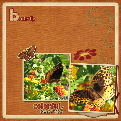 Butterfly