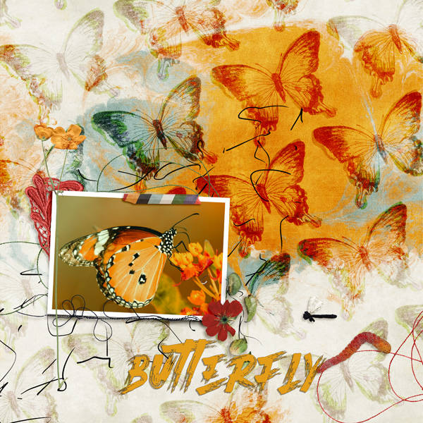 Butterfly