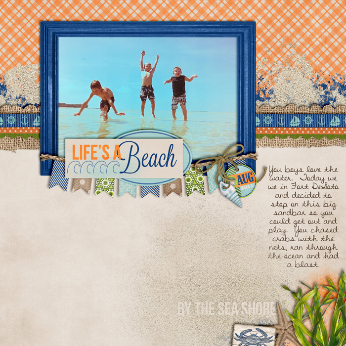 By the Sea Shore