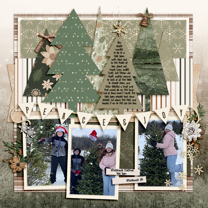 C2C 2025: Story 11