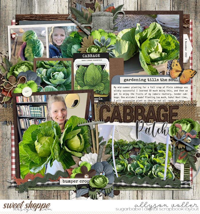Cabbage Patch 2022
