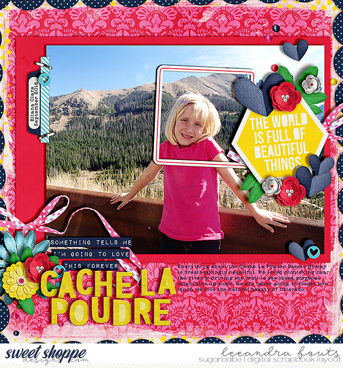 Cache La Poudre