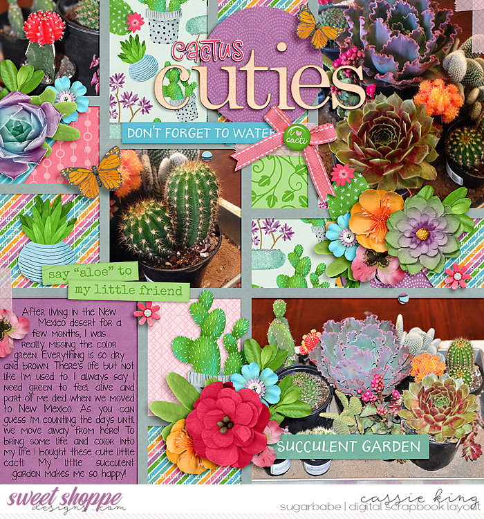 Cactus Cuties