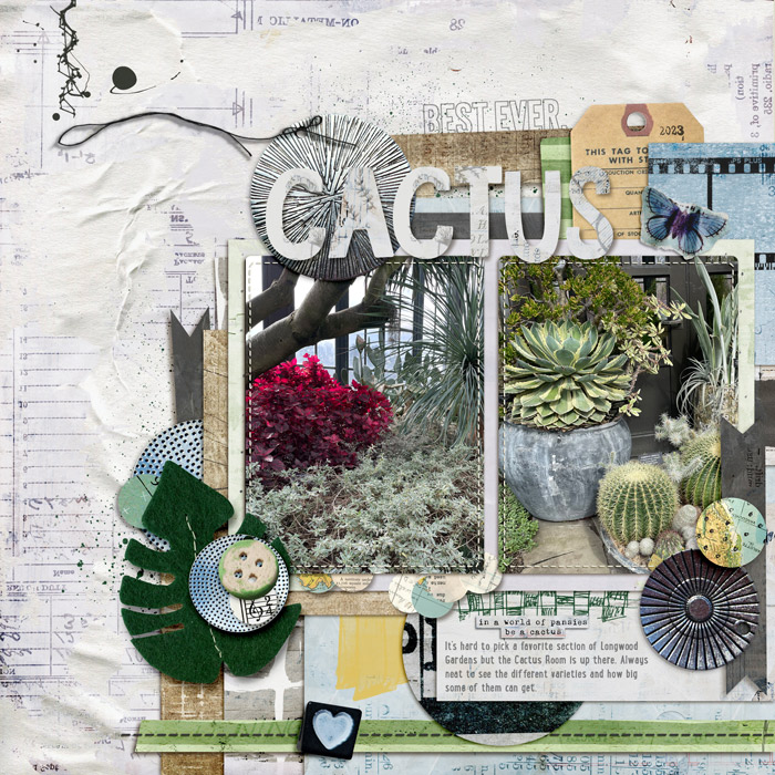 cactus