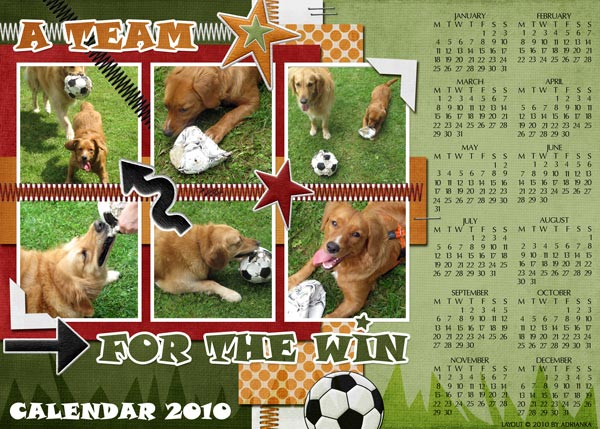 Calendar 2010 :: A Team For the Win