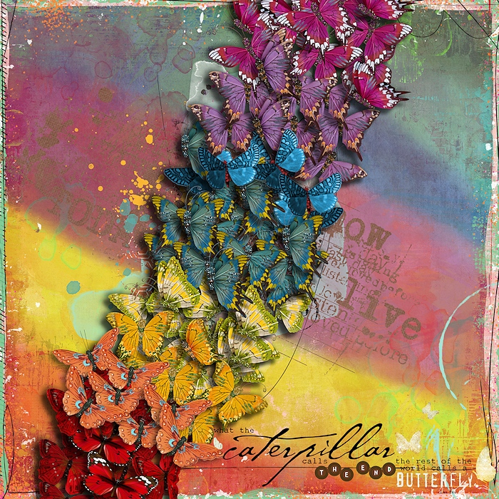Call a butterfly