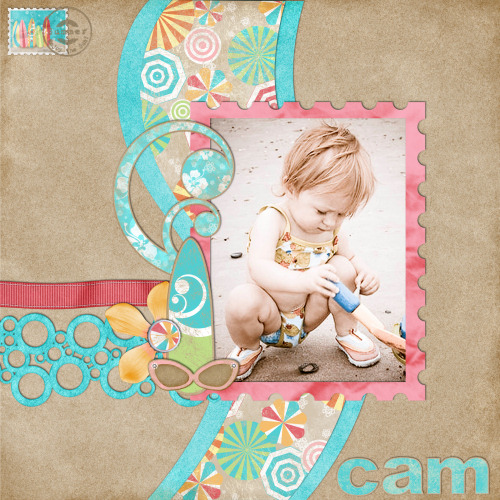 Cam
